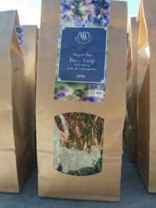 Mehr über den Artikel erfahren Hysoppus officinale – Ysop