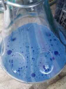 Mehr über den Artikel erfahren Achillea millefolium – Schafgarbe