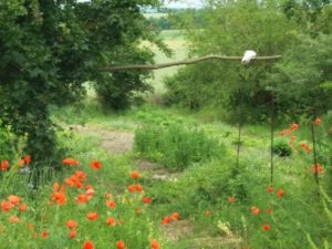 Magie in Flaschen