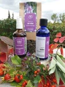 Mehr über den Artikel erfahren Salbei-Tee oder Salbei-Destillat