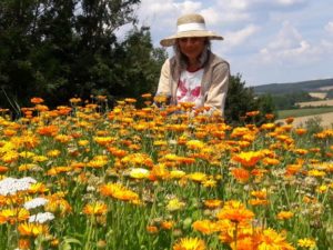 Mehr über den Artikel erfahren Praxiswoche Permakultur