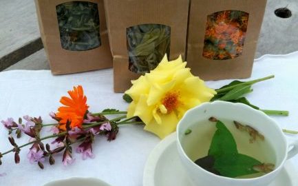 Die Kunst des Teemachens