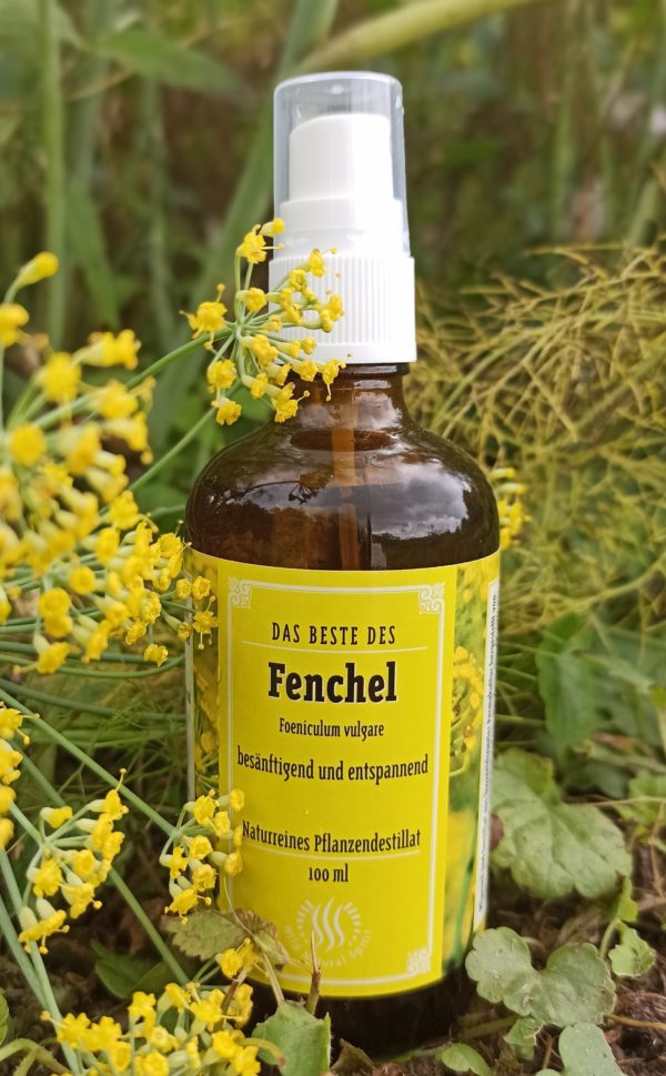 Fenchel