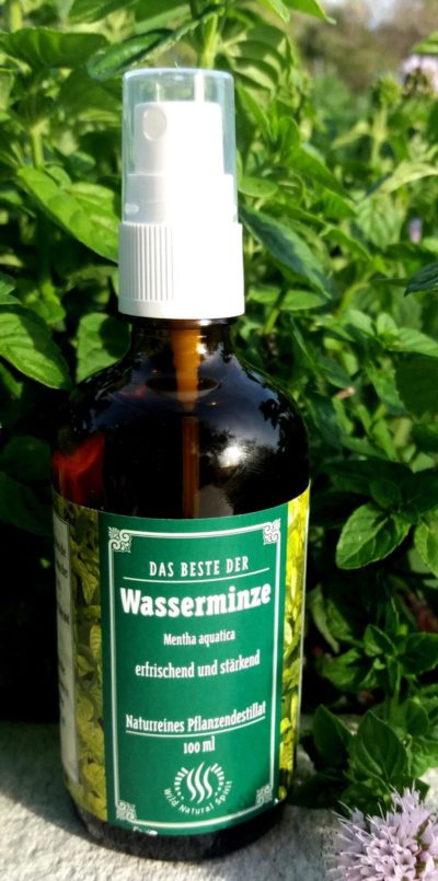 Wasserminze Hydrolat