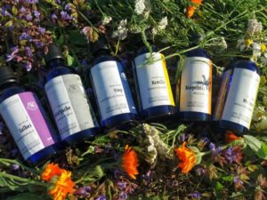 Mehr über den Artikel erfahren Blütengeküsst – An meine Haut laß ich nur die Natur !