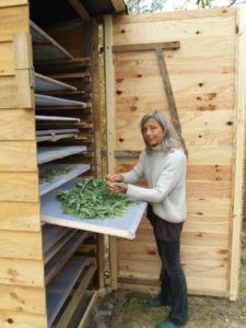 Mehr über den Artikel erfahren Solartrockner