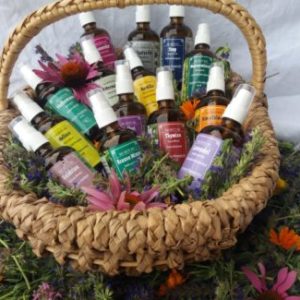 Die Kräuterapotheke im Geschenkkorb