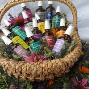 Die Kräuterapotheke im Geschenkkorb