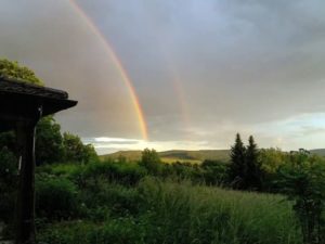 Mehr über den Artikel erfahren Magie in Flaschen