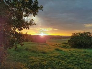 Mehr über den Artikel erfahren Geist über Materie