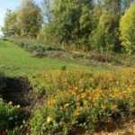 Permakultur – Viel mehr als Gartenbau