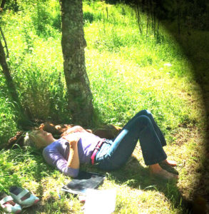 Mehr über den Artikel erfahren Der Weg mit den Pflanzen