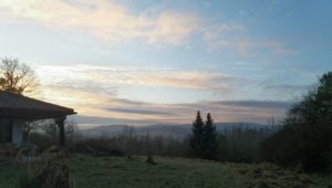 Mehr über den Artikel erfahren Was Seele hat, gedeiht – ein leuchtendes Beispiel an Hingabe