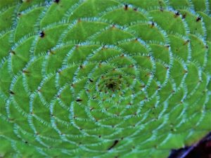 Mehr über den Artikel erfahren Muster erkennen, Energie lenken