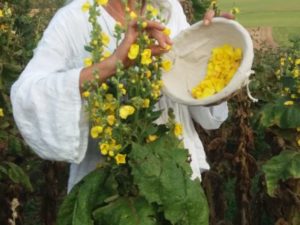 Mehr über den Artikel erfahren Einfach leben – Die Vision aus der Krise