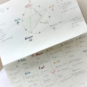 TCM Seminar Fernöstliche Heilkunde mit einheimischen Kräutern: Part 2: THERAPIE (09.- 10. Mai 2026)