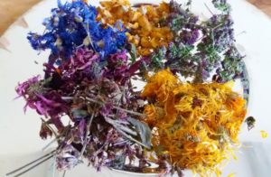 Mehr über den Artikel erfahren Heilkräuter Essenz – unverdünnt und ohne Zusätze