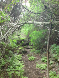 Mehr über den Artikel erfahren Praxiswissen