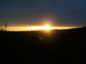 Mehr über den Artikel erfahren In Resonanz – im Leben