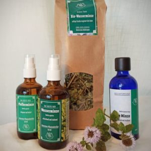 TCM Box – Holzelement