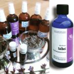 Die Spirits als therapeutische Begleiter