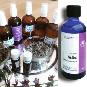 Mehr über den Artikel erfahren Die Spirits als therapeutische Begleiter