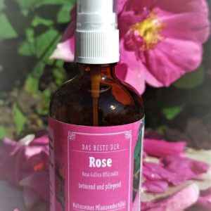 Das Beste der Rose