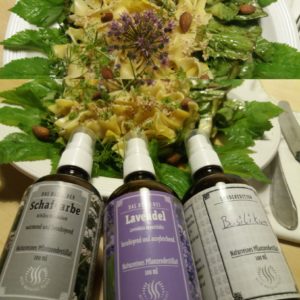 Mehr über den Artikel erfahren Laß Nahrung dein Heilmittel sein