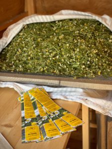 Mehr über den Artikel erfahren Der Reigen der Elementarenergien