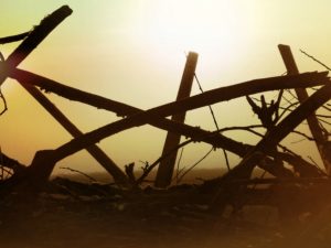 Mehr über den Artikel erfahren Depression – Die Antwort aus der Kräuterwelt