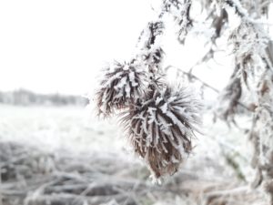 Mehr über den Artikel erfahren Laß es Licht werden