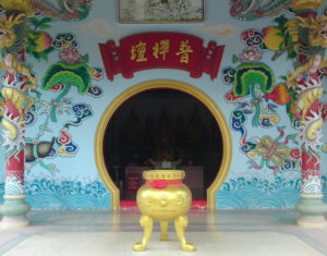 Mehr über den Artikel erfahren Eintauchen in das Feld der Heilpflanzen