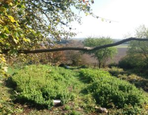 Mehr über den Artikel erfahren Melissas Schoß