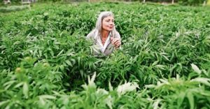 Mehr über den Artikel erfahren Podcast zur Kalibrierung