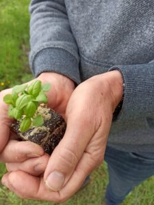 Mehr über den Artikel erfahren Permakultur lernen