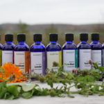 Natur für Kosmetikerinnen – Wild Natural Spirit