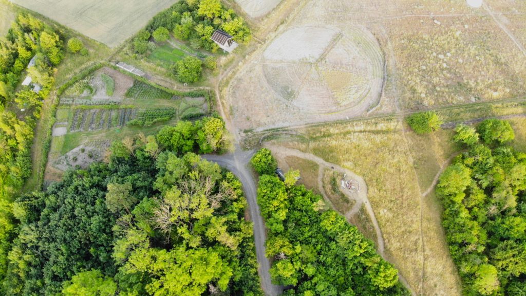 Permakultur Garten 2