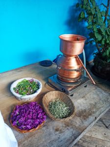 Mehr über den Artikel erfahren Die Fäden der Welt