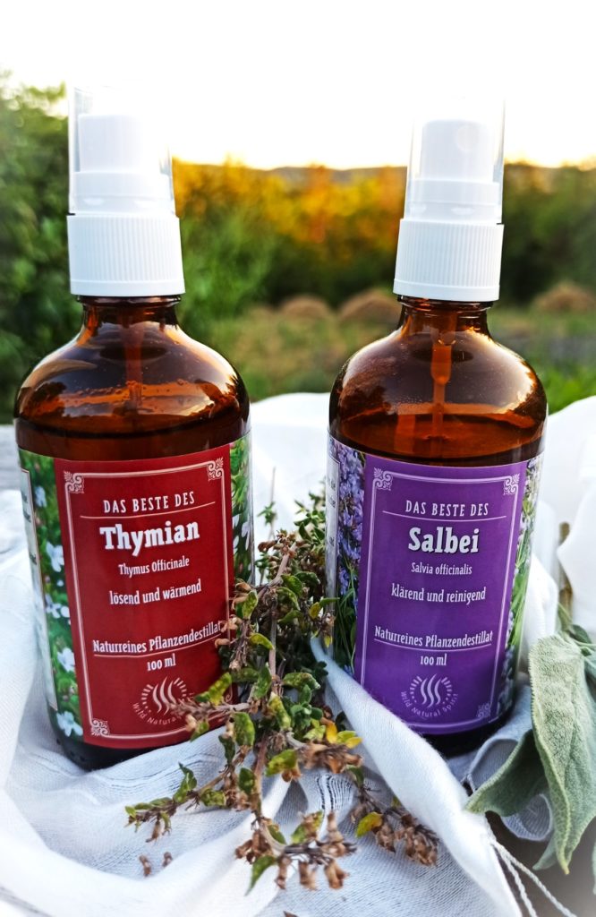 Salbei und Thymian