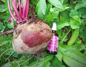 Mehr über den Artikel erfahren Herbst – Zeit für Klarheit