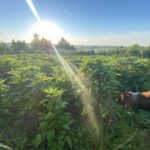 Erdenhüter-Kreis – Landbau im Einklang