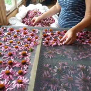 Mehr über den Artikel erfahren Lernen auf Aditi