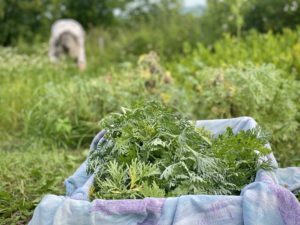 Mehr über den Artikel erfahren Erdenhüter