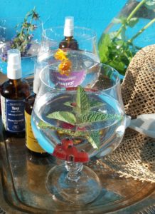 Mehr über den Artikel erfahren Sommerfrischer Kräuter-Kick