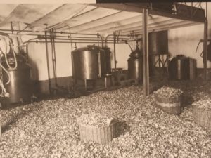 Mehr über den Artikel erfahren Die Welt der Düfte