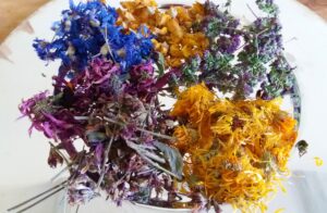 Mehr über den Artikel erfahren Kräuterdampfbad – Längst vergessene Wohltat