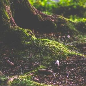 Das Buch Aditi – Eine kleine Einführung in die Magie des Lebens