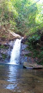 Mehr über den Artikel erfahren Vis Vitalis – das Geheimnis der Lebenskraft