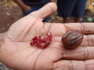 Mehr über den Artikel erfahren Empfangen